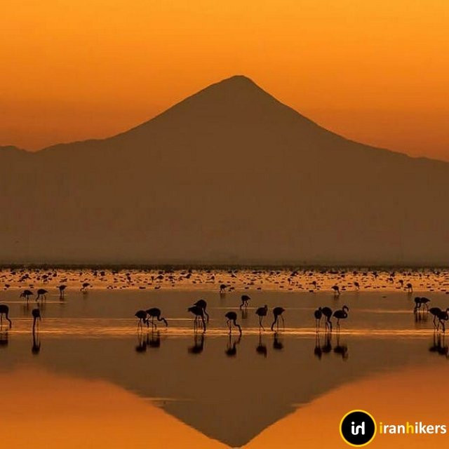 Miankaleh Lagoon景点图片
