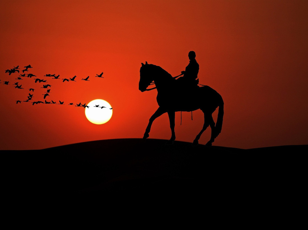 Horse Rides Eco Rest-Kashtanove必去景点