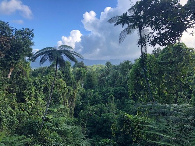 Takalana Bay Resort主图