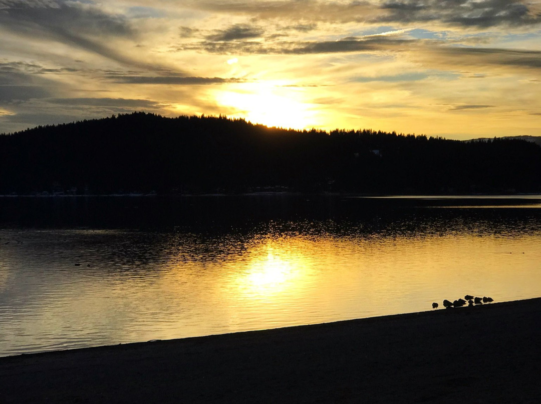 The Coeur d'Alene Golf & Spa Resort主图