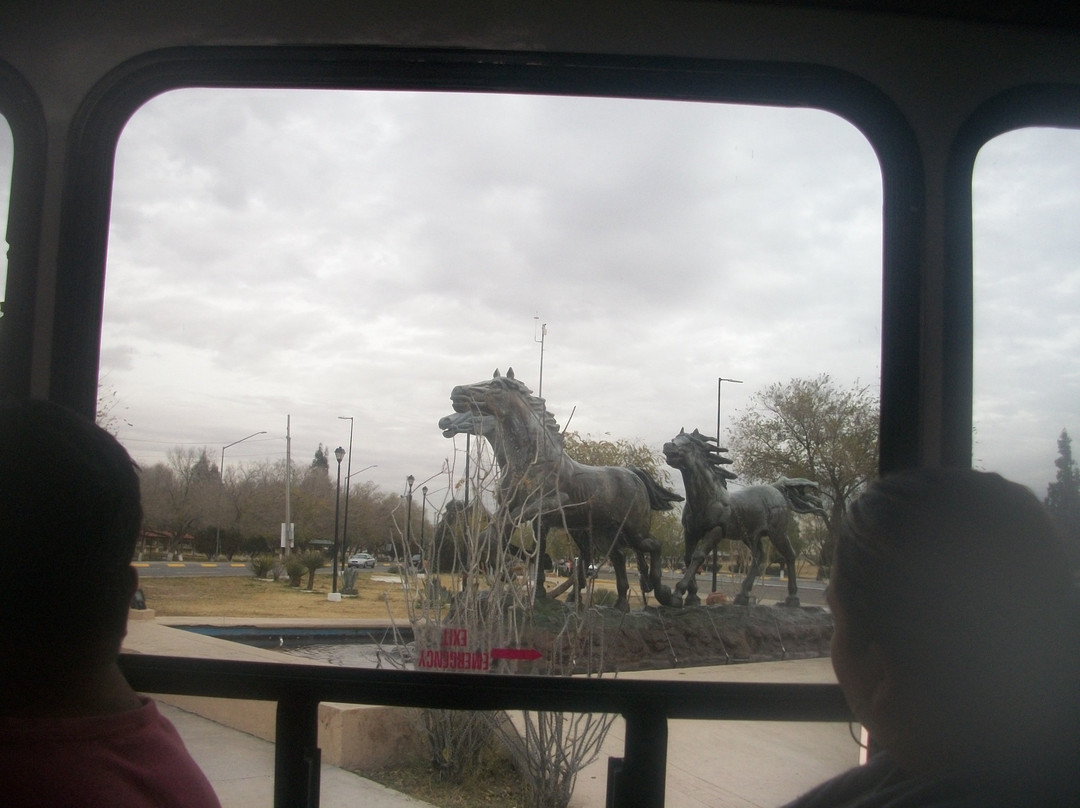 Parque Público Federal El Chamizal-华瑞兹城必去景点