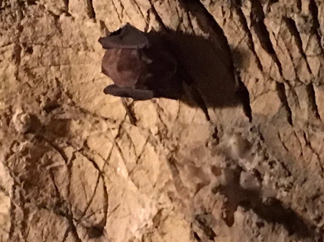 Grotta di San Michele di Ozieri-Ozieri必去景点