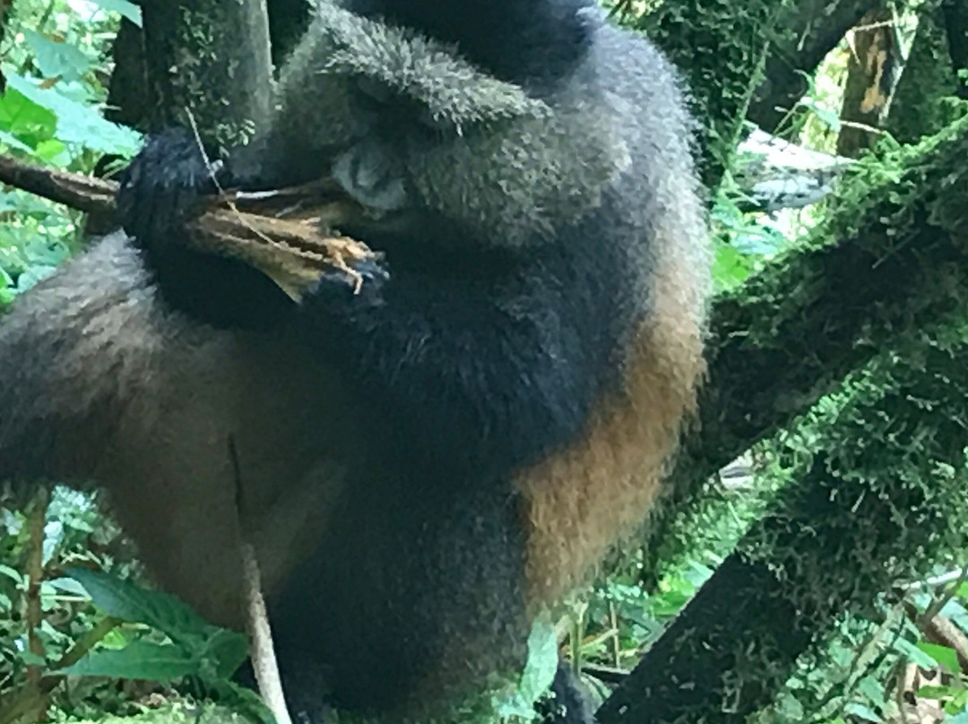 Nature Expeditions Africa-吉佳利必去景点