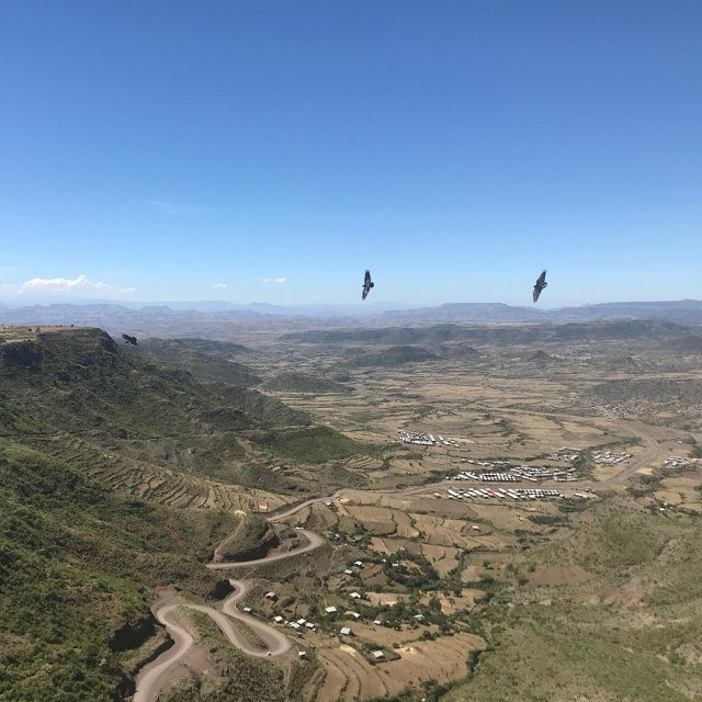 Top Twelve Hotel主图