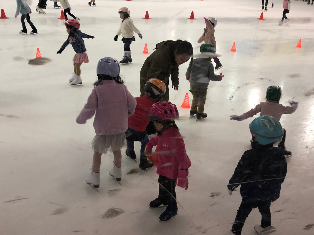 Meiji Jingu Gaien Ice Skating Rink-新宿区必去景点