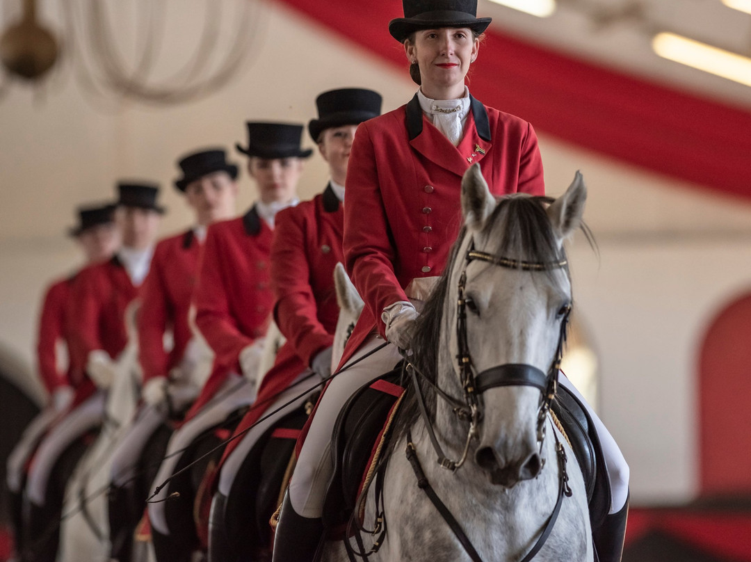 The South African Lipizzaners景点图片