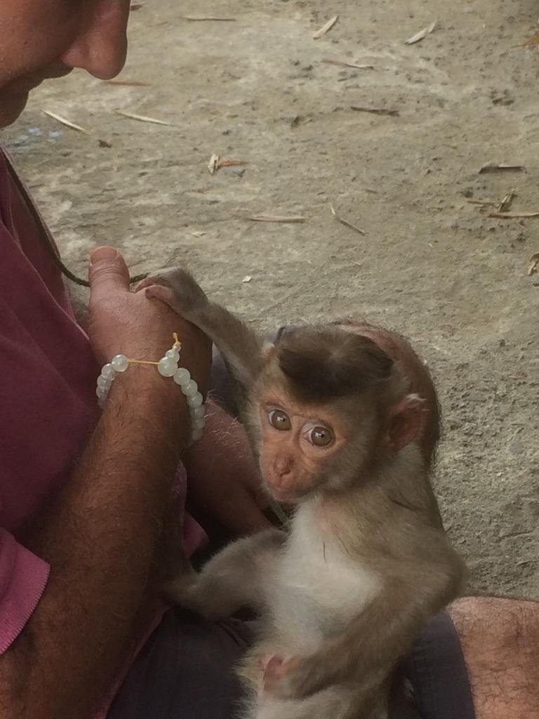 Thao Nguyen Guesthouse-官方