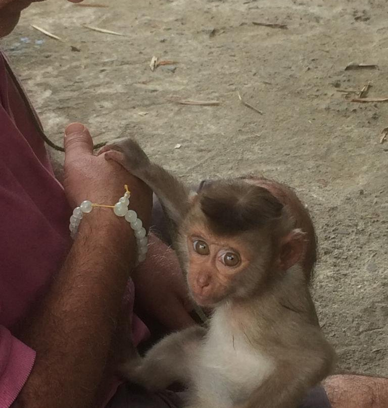 Lien Son酒店住宿-Thao Nguyen Guesthouse