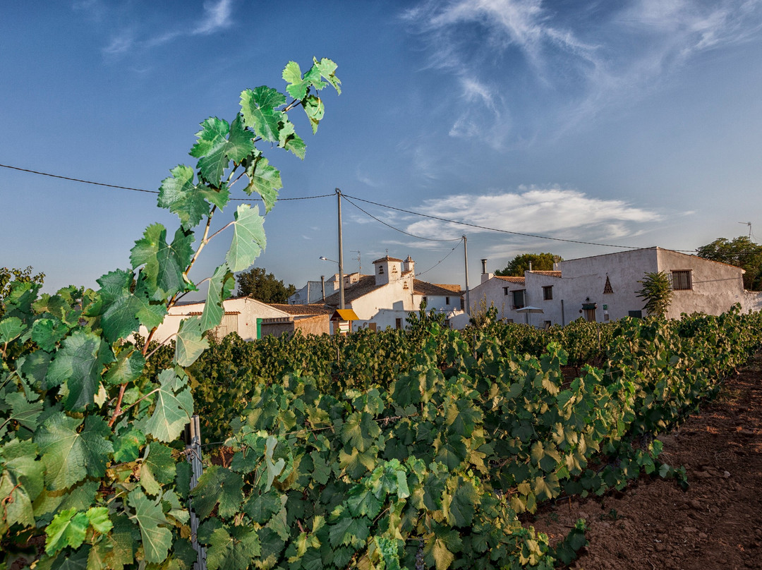 Casa Rural El Llano Quintanilla主图