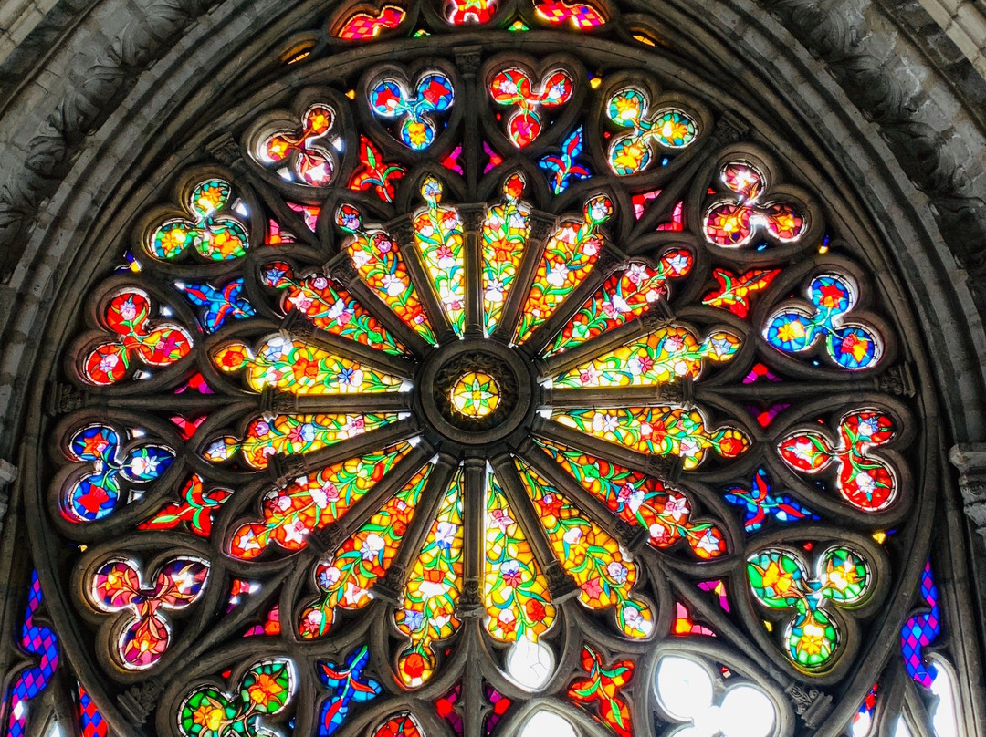 Corredor Polaco Basilica De Manilzales-Manizales必去景点