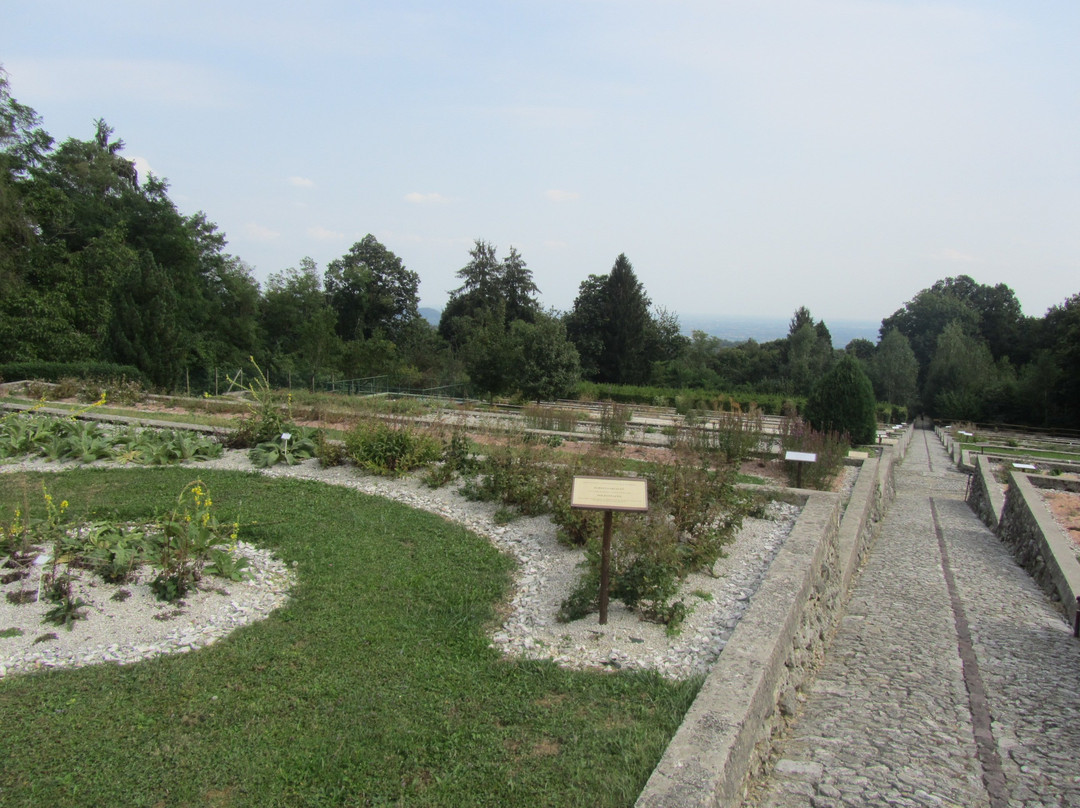Giardino Vegetazionale "Astego"景点图片