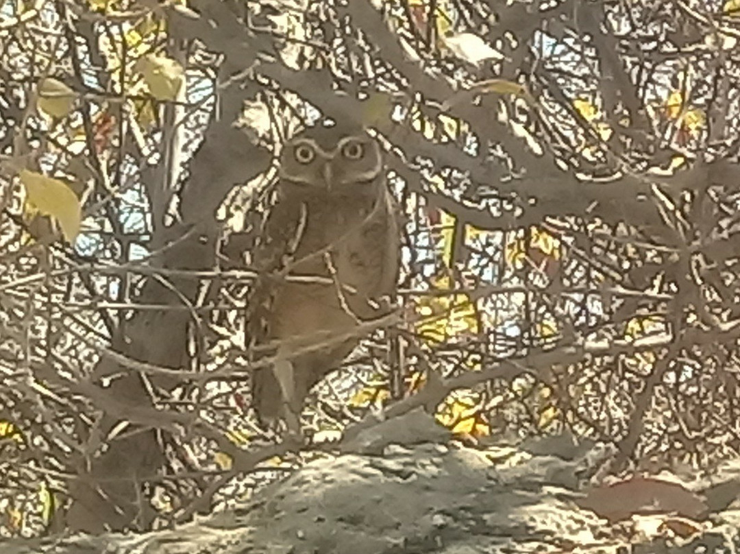 Lajedo da Soledade-Mossoro必去景点