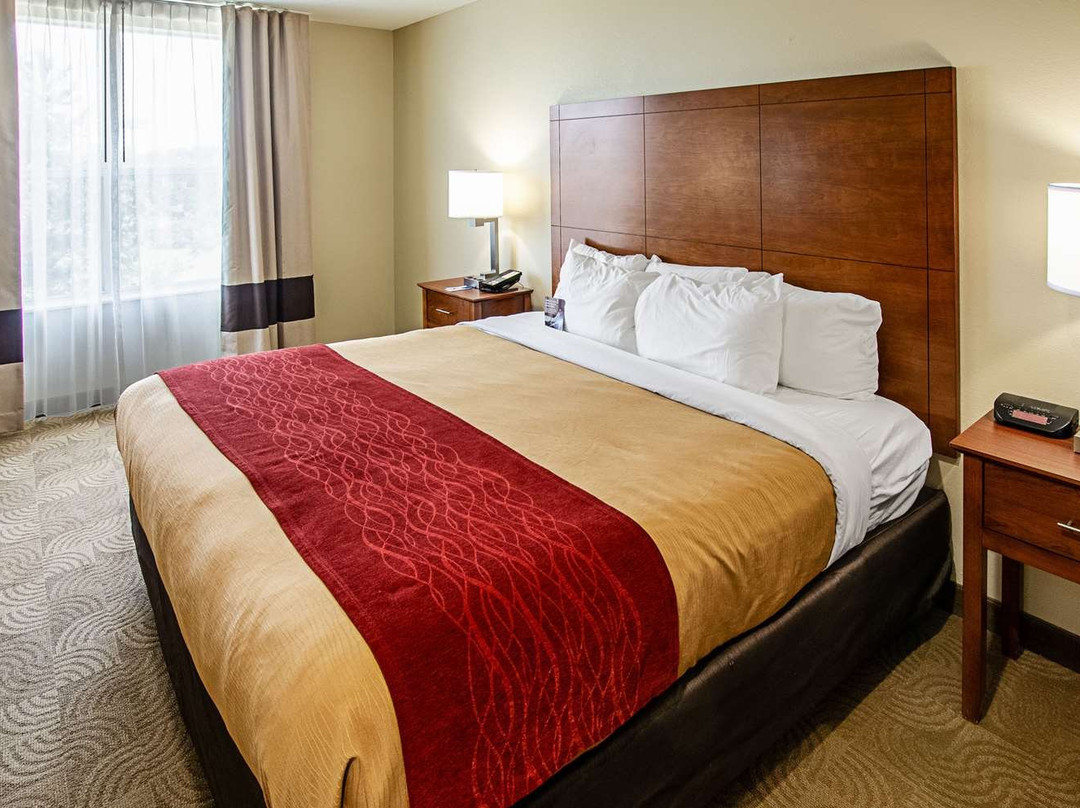 Comfort Inn & Suites Santee I-95主图