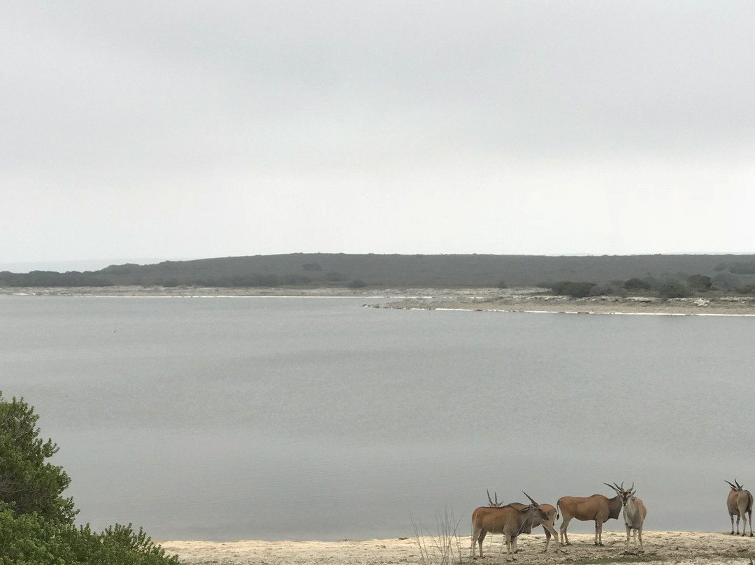 De Hoop Nature Reserve Whale Trail景点图片