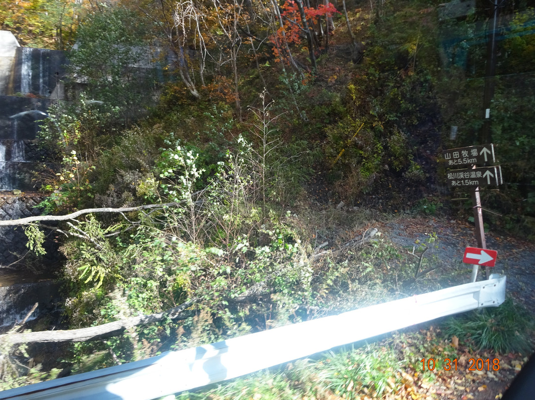 Matsukawa Valley-高山村必去景点
