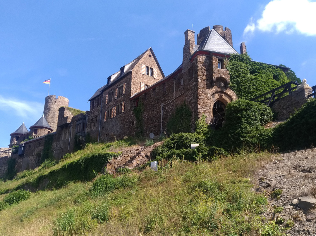 Thurant Castle景点图片