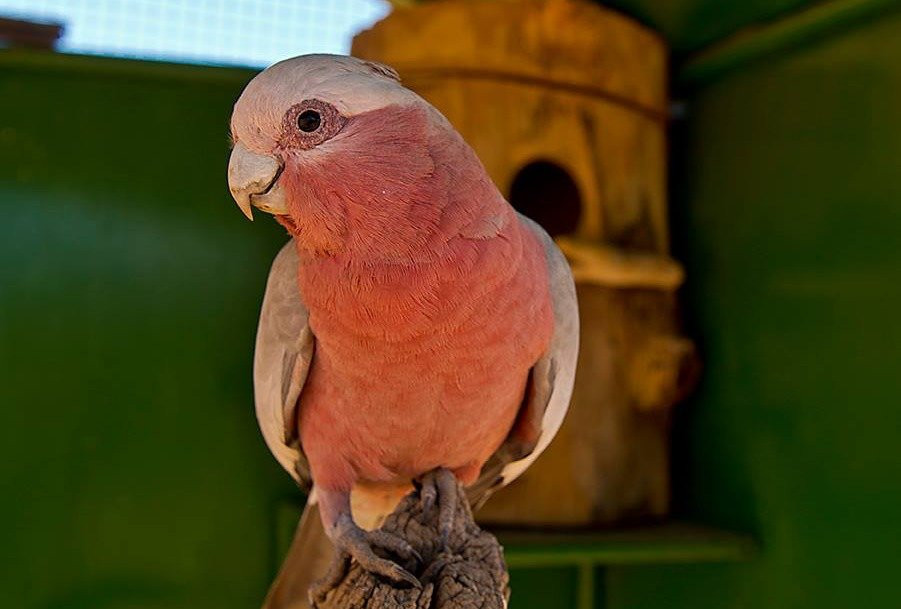 Marakele Animal Sanctuary-塔巴珍比必去景点