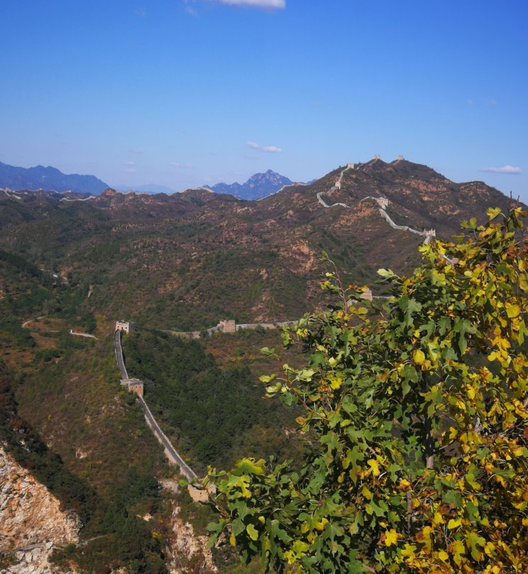 Authentic China Travel-郑州市必去景点