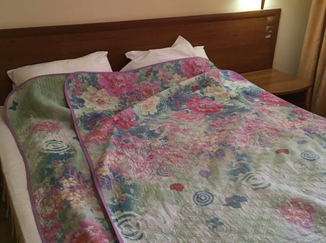 New Tobol Hotel主图