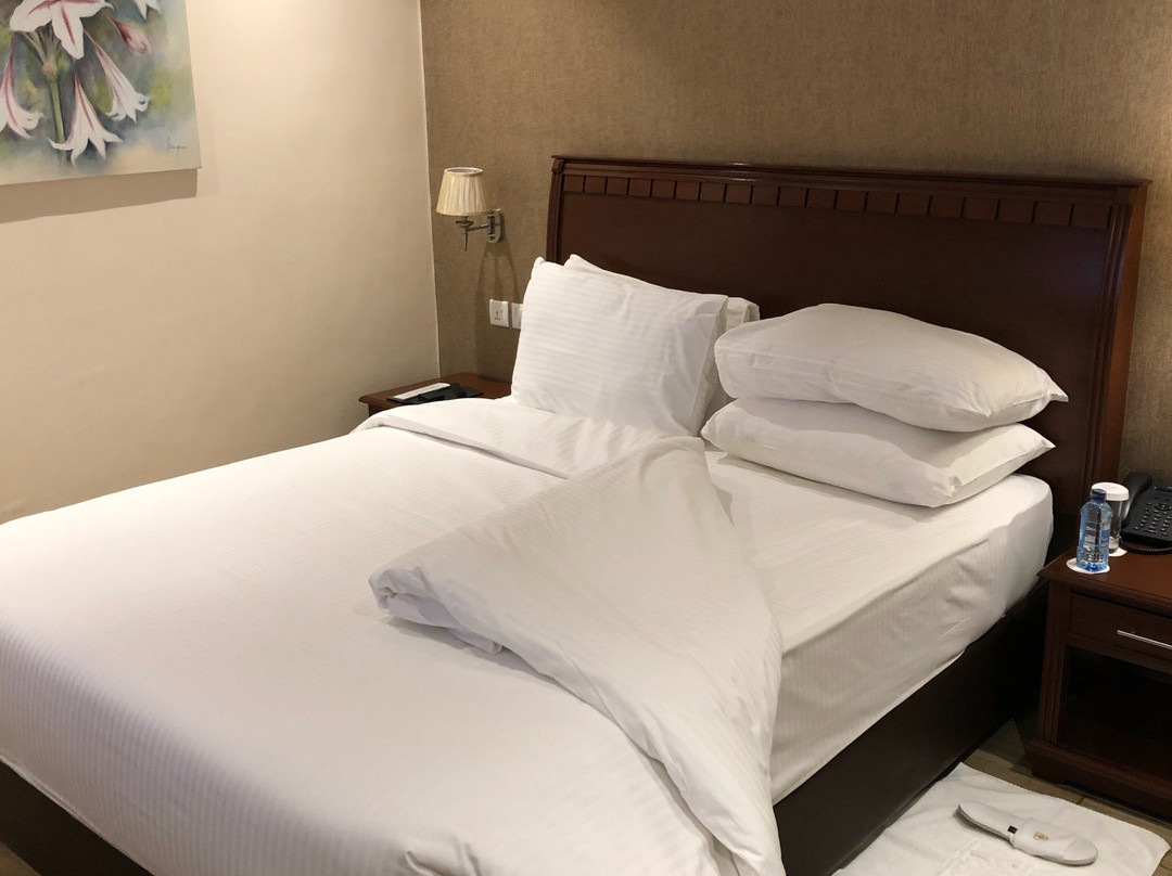 Sarova Woodlands主图