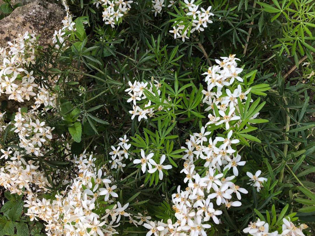 Hotel Le Montloire主图