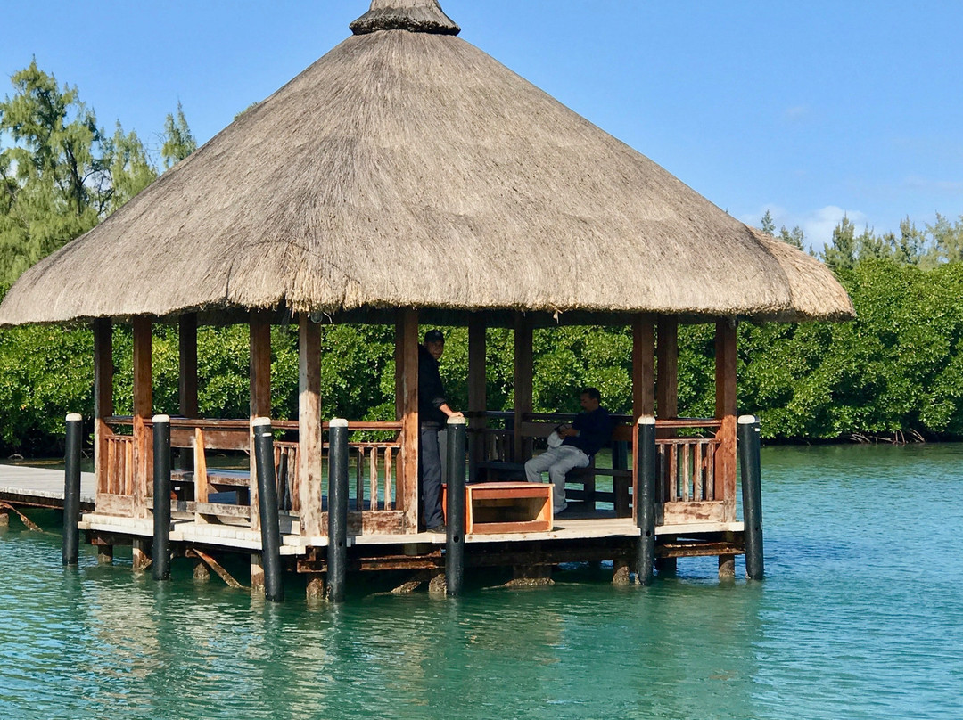 Bubble Lodge Ile aux Cerfs主图