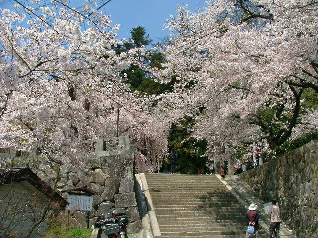 Omi no Sato Koryu Center景点图片