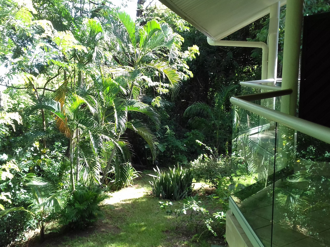 Occidental Tamarindo主图