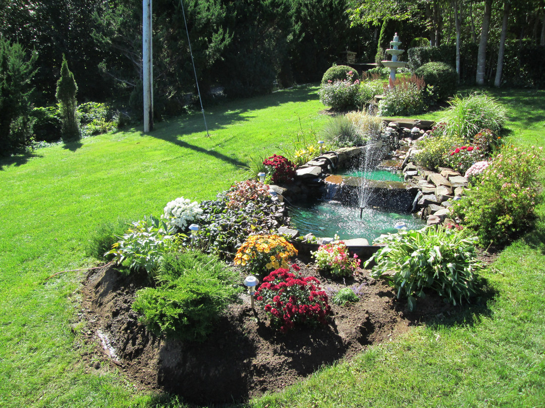 Ocean Hillside Bed And Breakfast主图