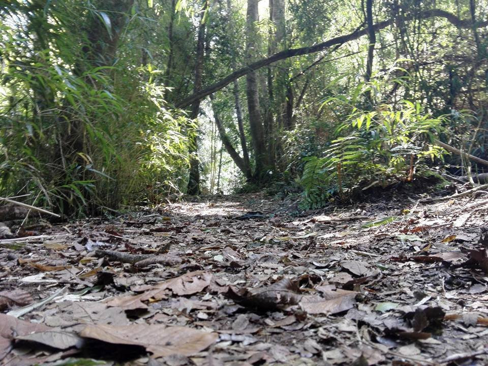 TURISMOSOSTENIBLE.CL-Ciudad La Union必去景点