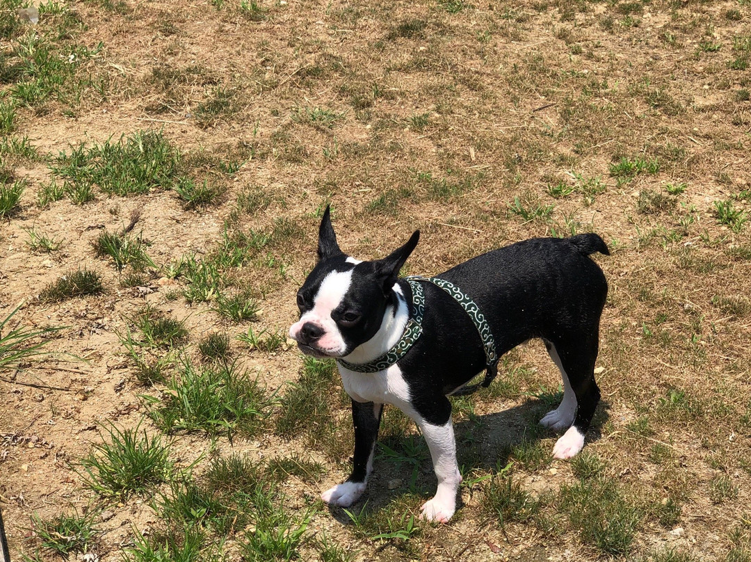 World Ranch-河南町必去景点