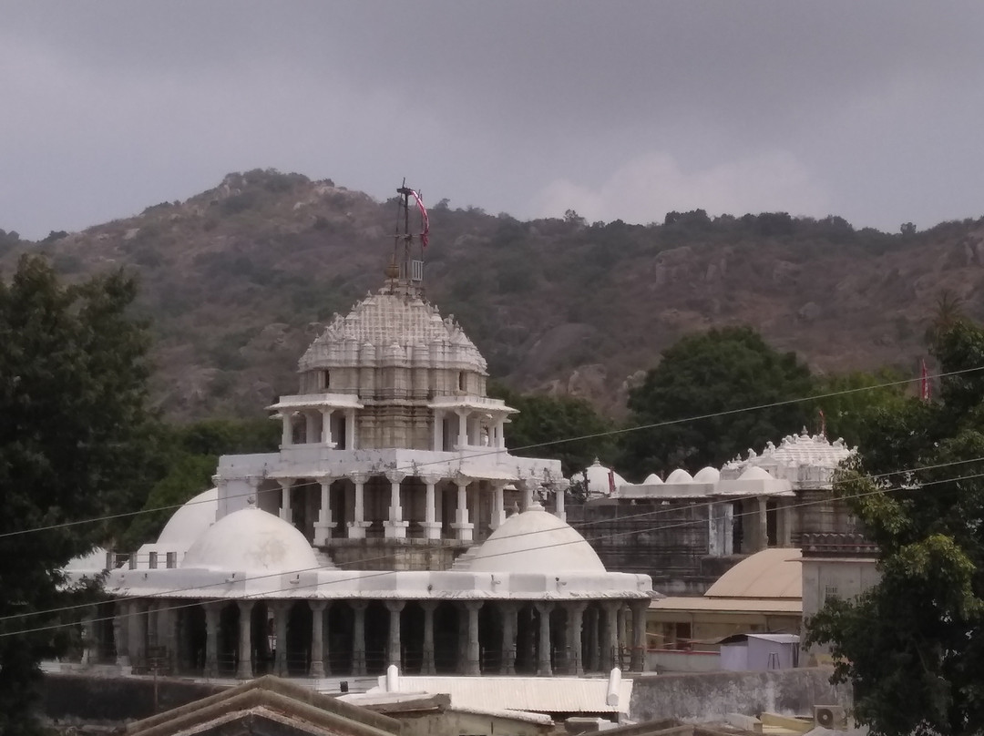 Dilwara Jain Temples景点图片