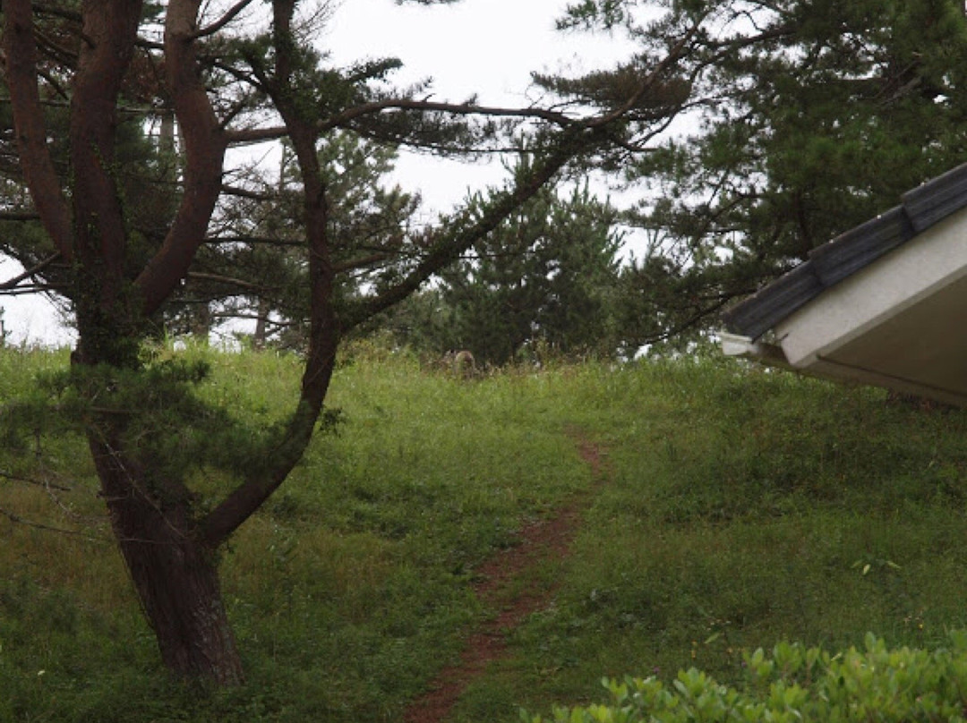 Kamiwarizaki Natural Park-石卷市必去景点