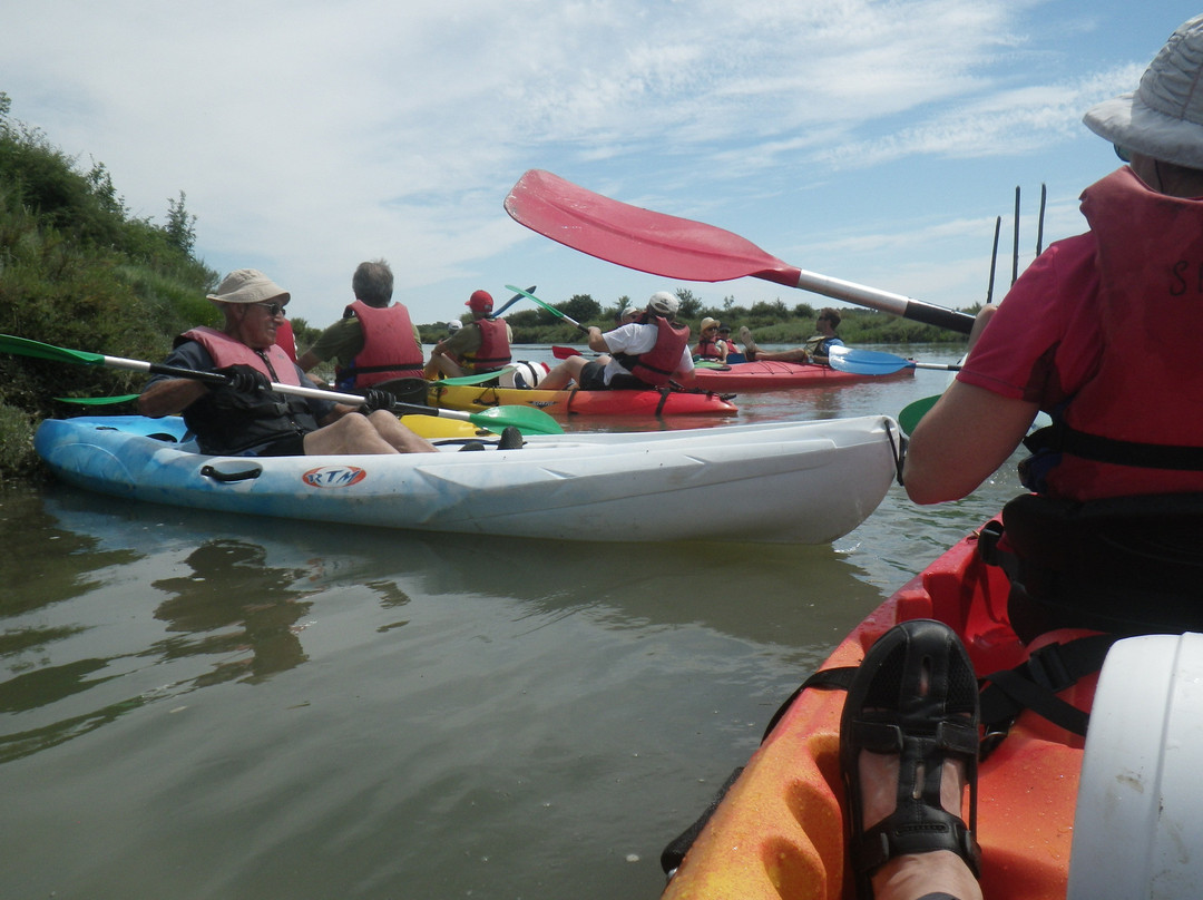 Seudrement Kayak Day Tours景点图片