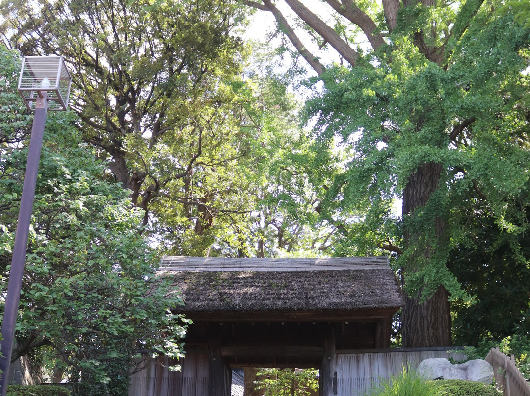 Tojogaoka Historical Park-松户市必去景点