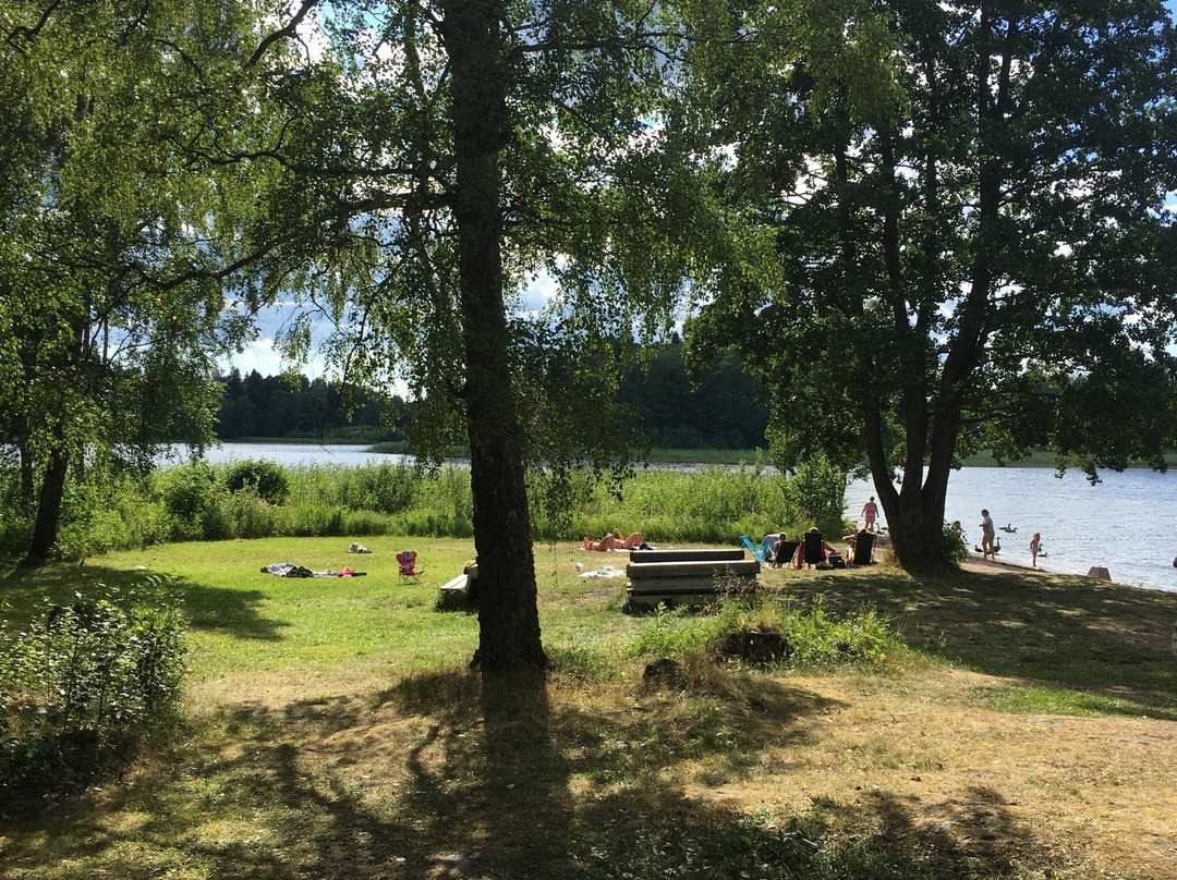 Drevviken