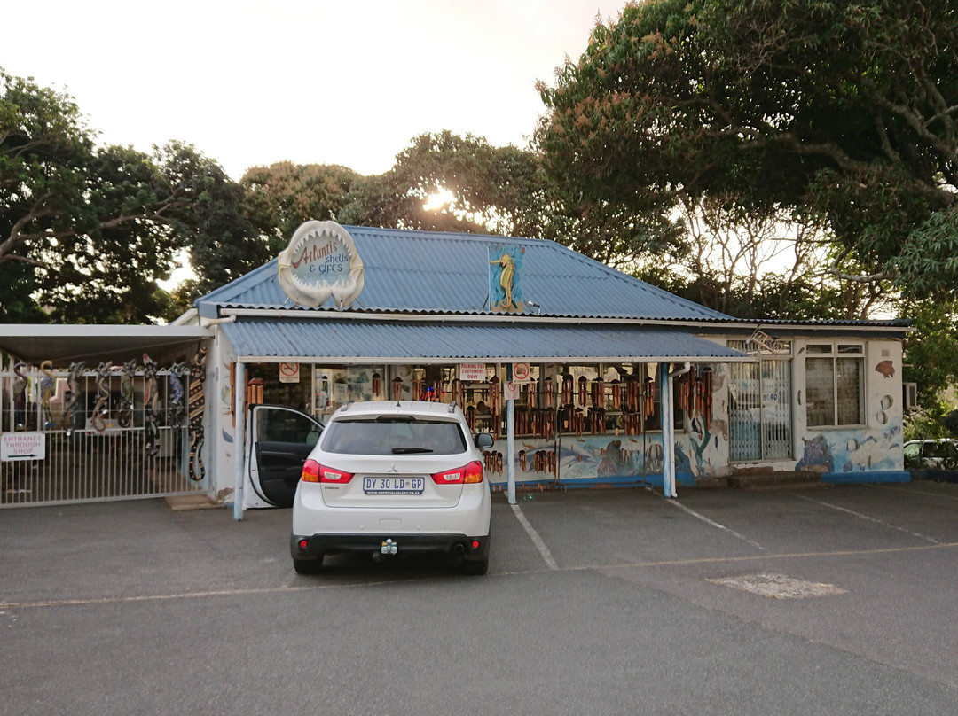 The Shell Shop景点图片