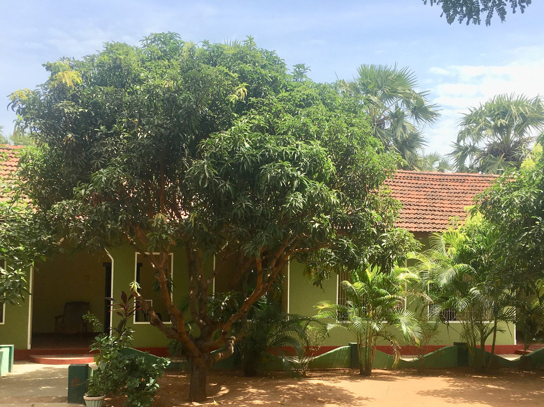 The New Land Guest House主图