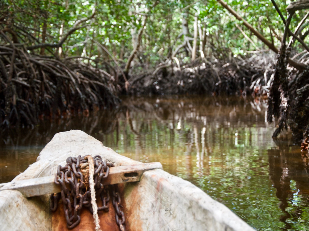 Kalu Safari Kenya-瓦塔木必去景点