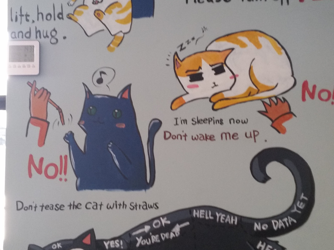 Hashtag meow景点图片