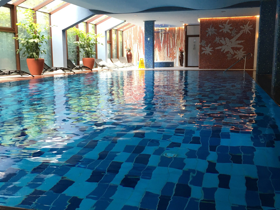 Wellness Hotel Chopok主图