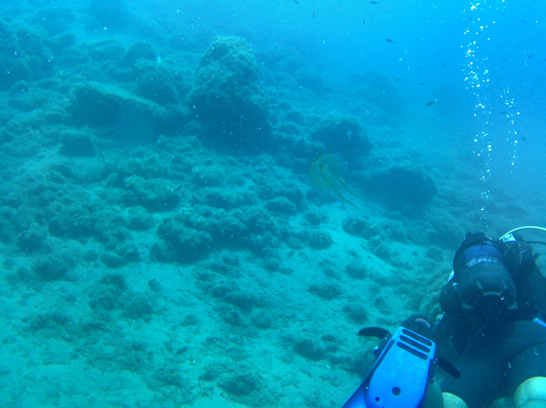 Crostaceo Dive center and Watersports Club-路特奇必去景点