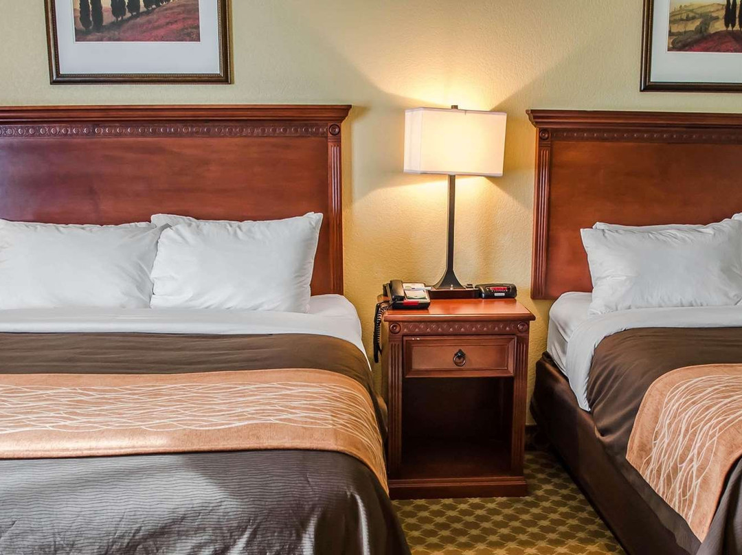 Comfort Inn & Suites Mobile Near Eastern Shore Centre主图