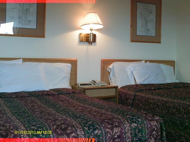 Americas Value Inn主图