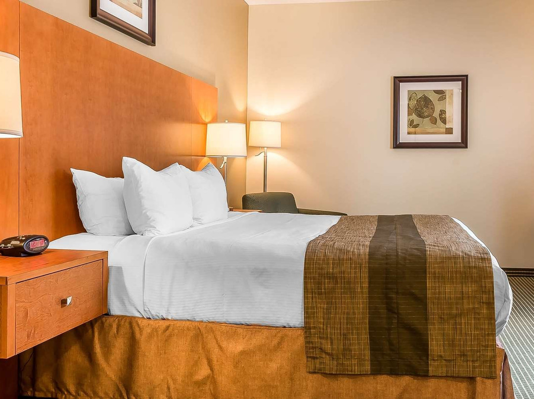 Quality Inn & Suites主图