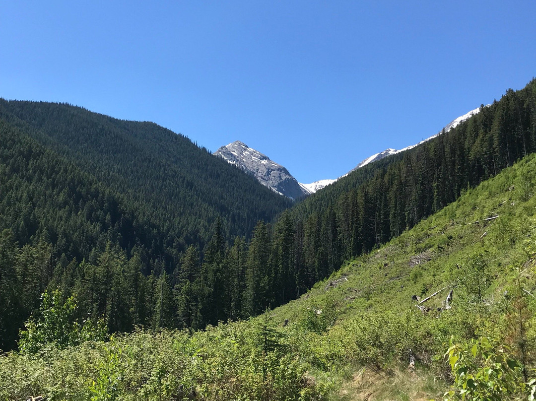 Awesome All Season Adventures-戈尔登必去景点