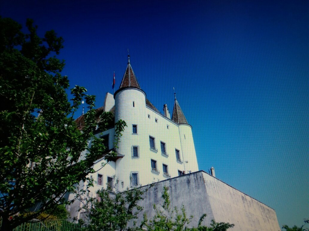 Nyon Region Tourism景点图片