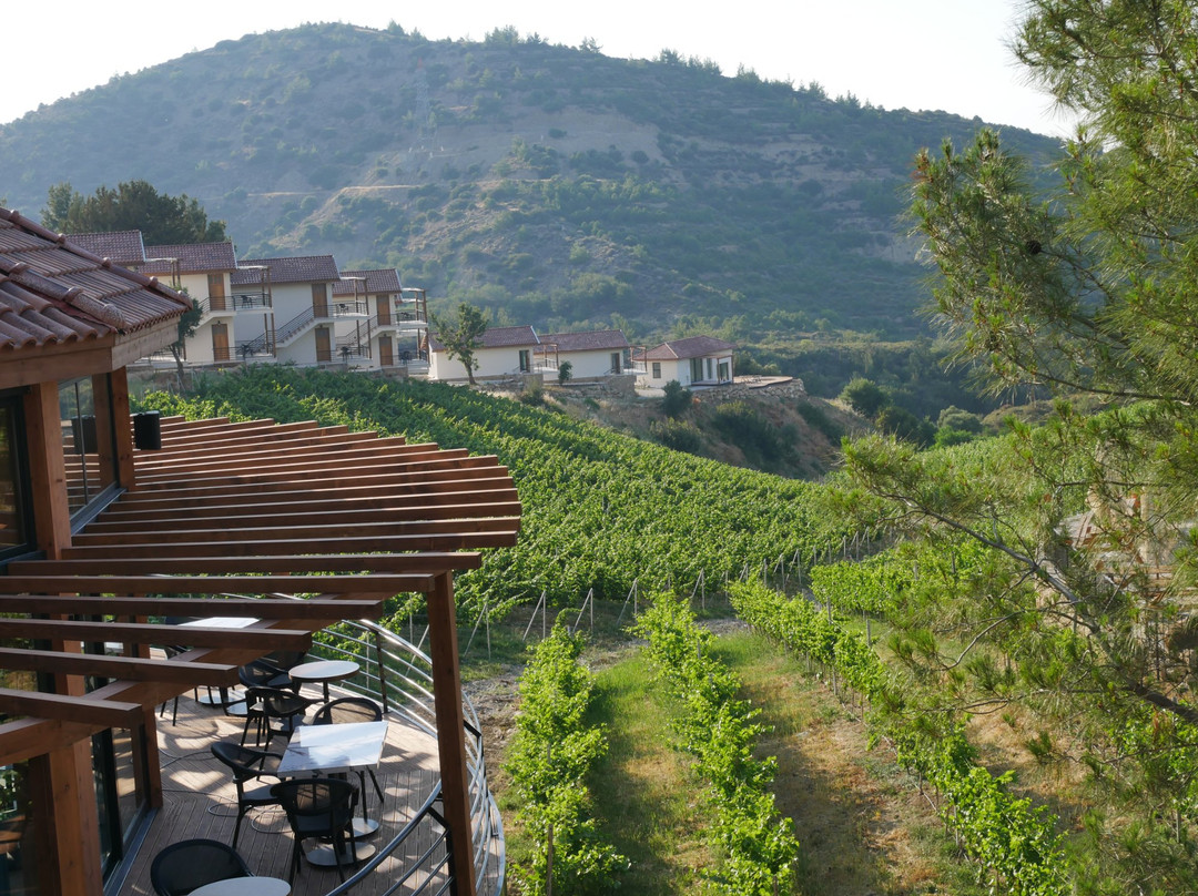 Gillham Vineyard Hotel主图