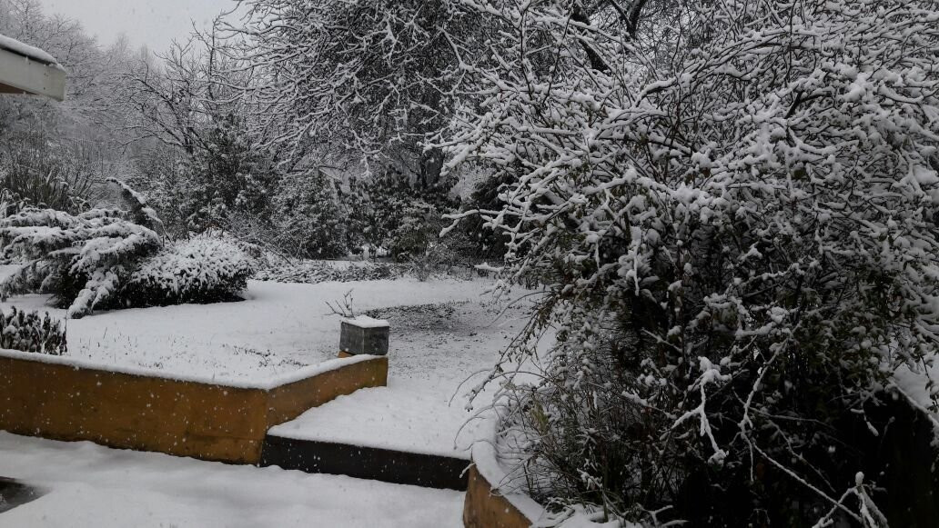 Granny Mouse House主图