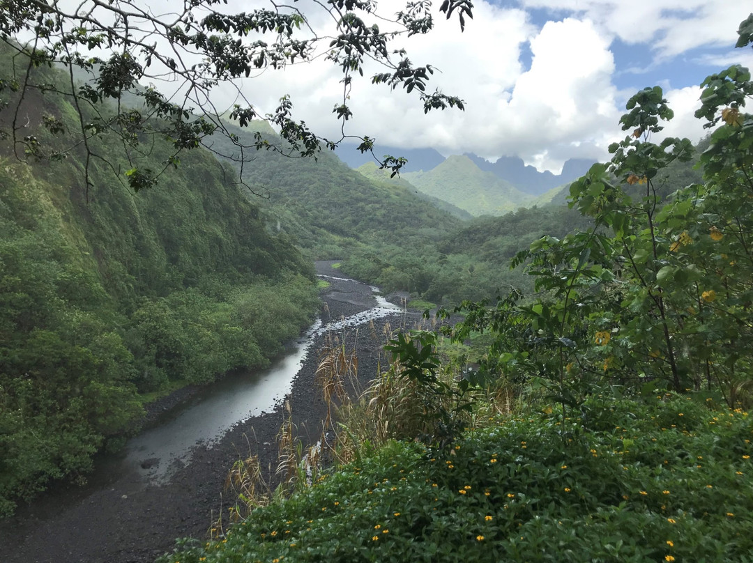 Vallée de la Papenoo景点图片